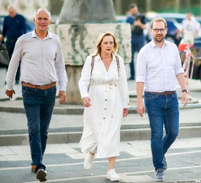 sorin sipos dominic fritz elena lasconi