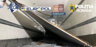 Mii de kilograme de droguri, transportate prin Europa de gruparea timișoreanului ”Matrix” Măhălean